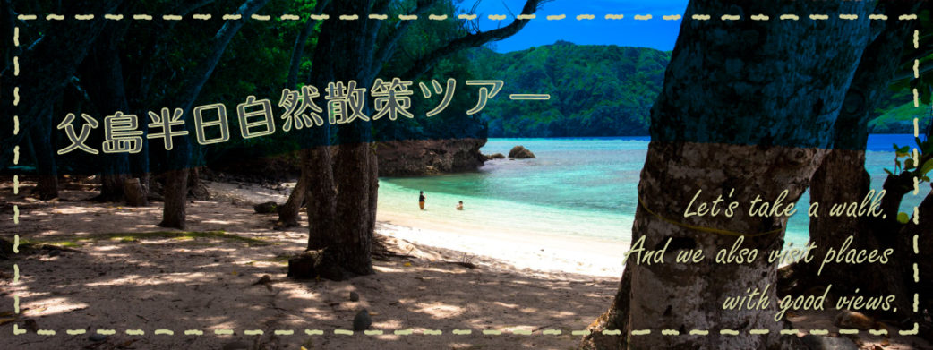 父島半日自然散策ツアー