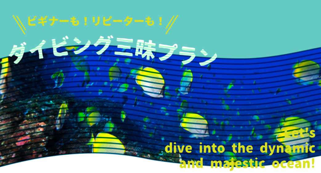 ダイビング三昧プラン