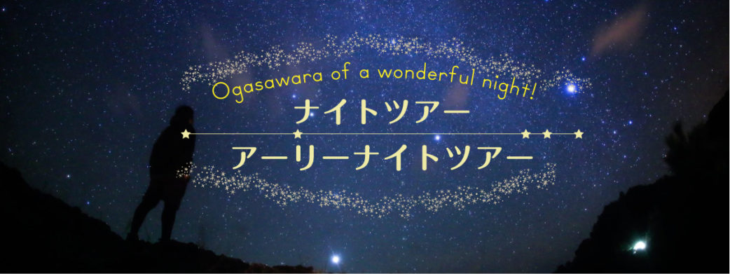 ナイトツアー・アーリーナイトツアー