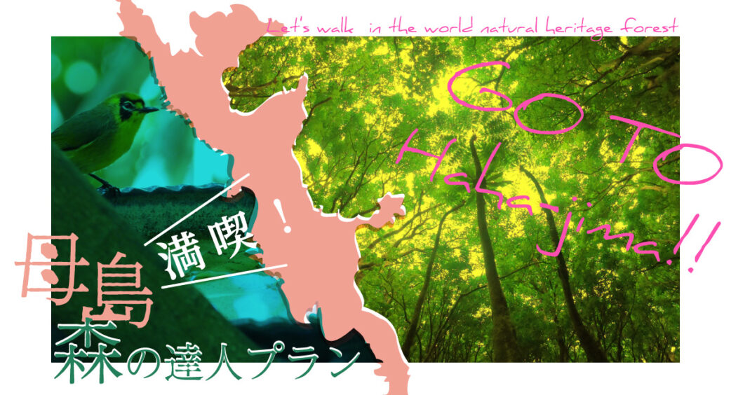 母島満喫!!森の達人プラン