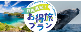小笠原旅行　自由満喫！お得旅プラン